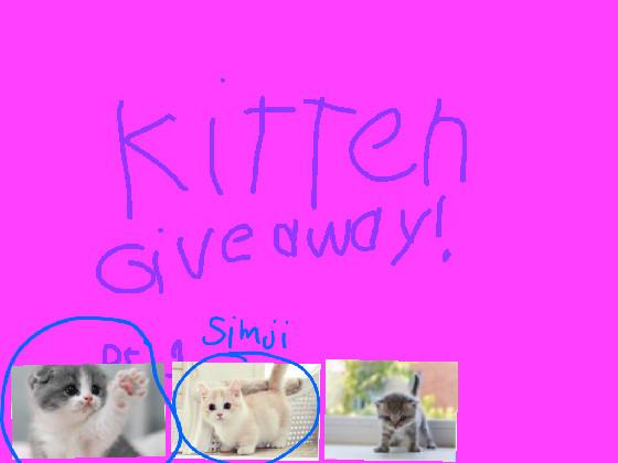 Kitten giveaway part 1 1 1