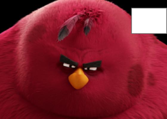 im the biggest bird