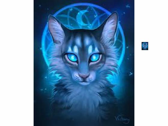 Jayfeather Spin Draw !!