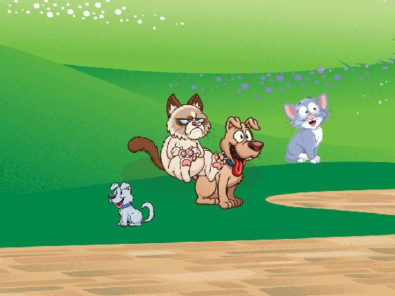Grumpy cat!