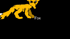 fox