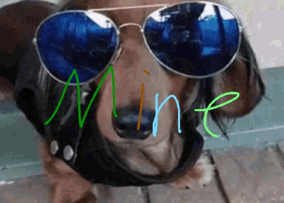 like if you like Minecraft
