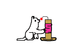 kitty and scratching post