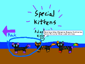 Oc cats for adoption!
