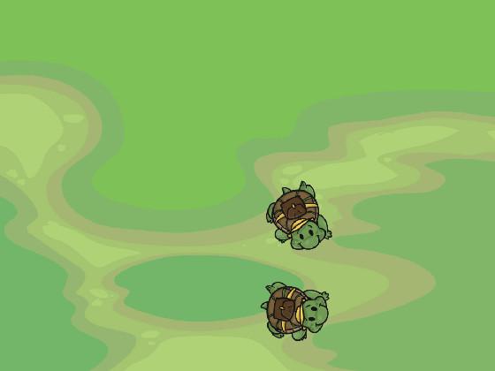 Turtle Trails 1