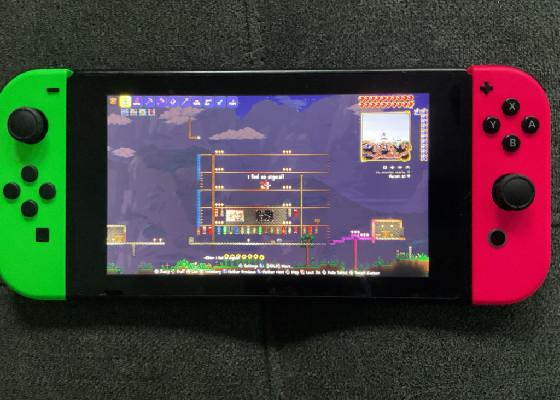 libber switch