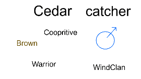 Warriors Bio Generator