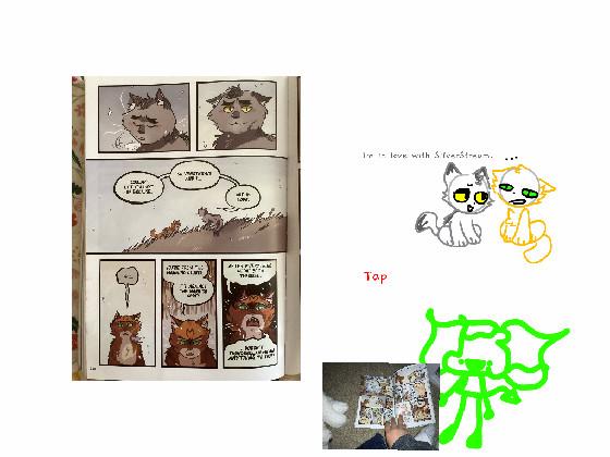 Warrior cat stuff 1