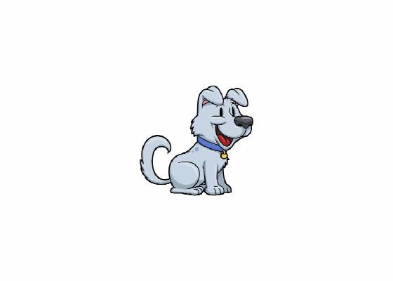 puppy