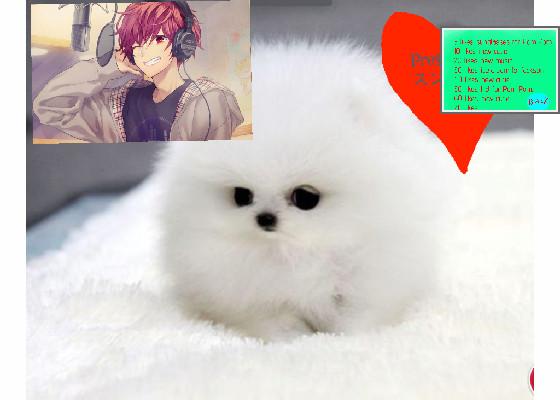 like if u think its cute