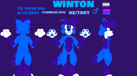 WINTON remake