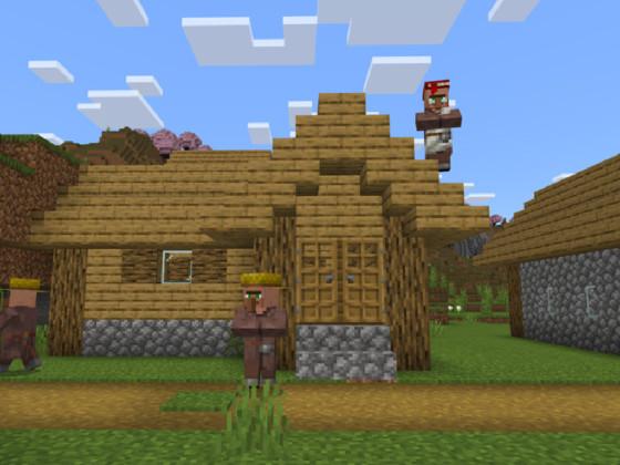 vanishing village