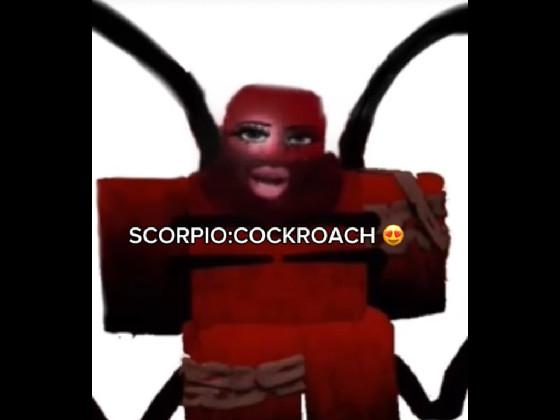 IGNORE THE THUMBNAIL