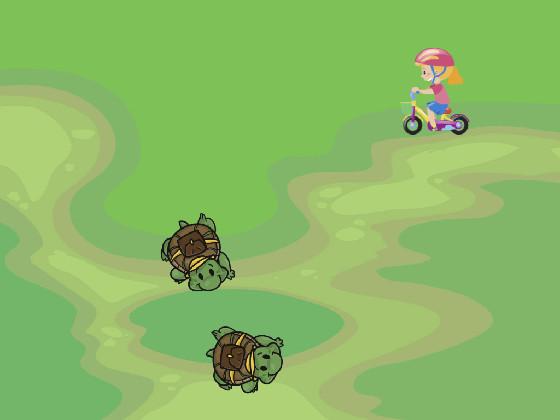 Turtle Trails 1