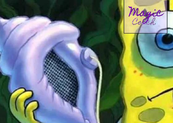 Magic Conch Shell