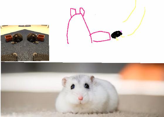 My Project 37 - copy