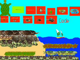 Code turtle