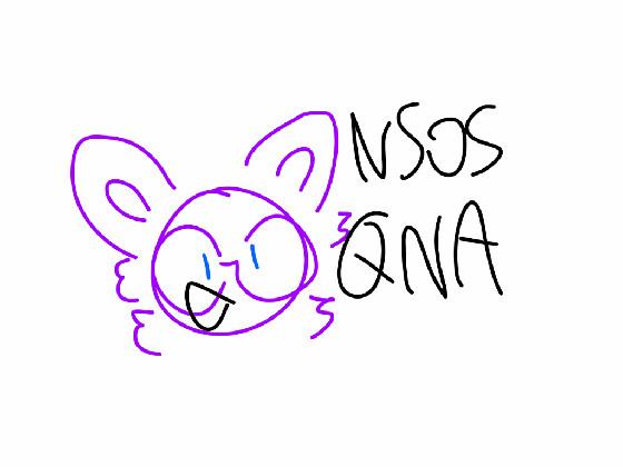 NSOS CHARACTER QNA!!