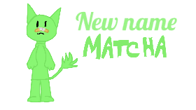 I GOT A NEW NAMESKI