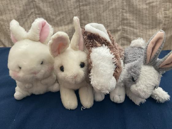 (CANCELED) Shoutout Comments