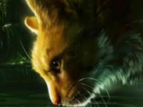 LIONBLAZE Fan club