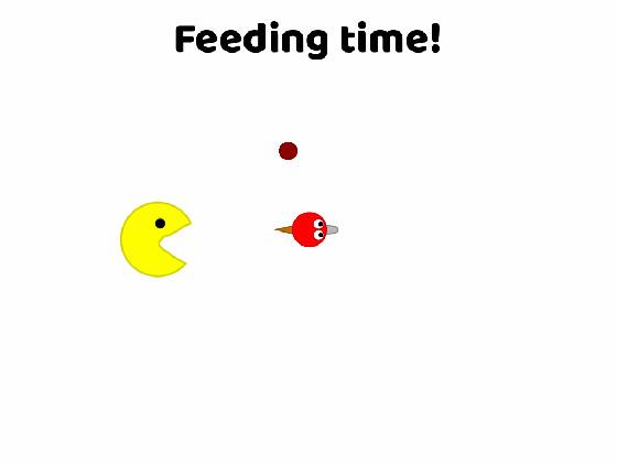 feed the fish