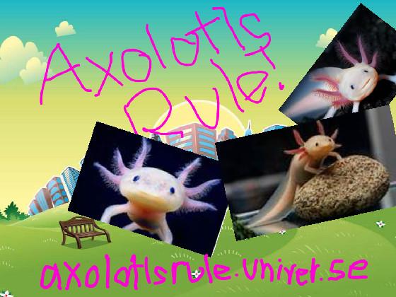 axolotlsrule.univer.se
