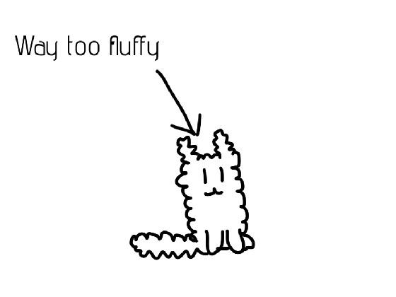 cat too fluffy