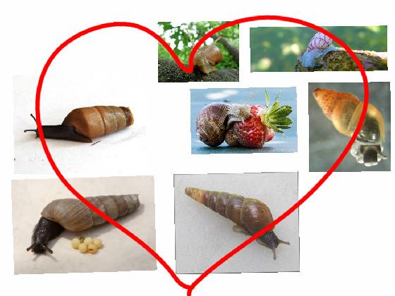 I ❤️ SNAILS