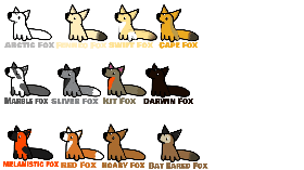 Foxes!!!