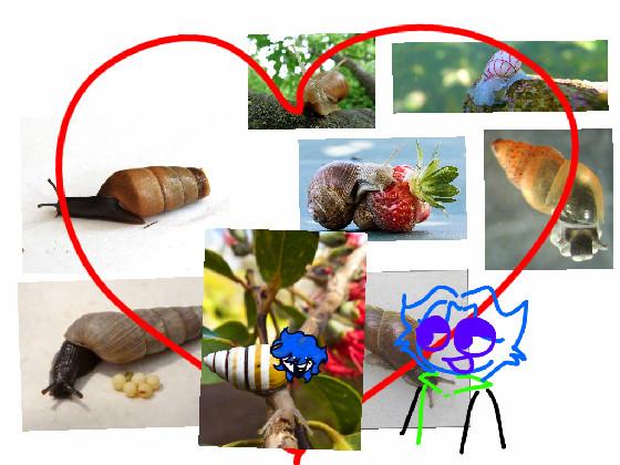 I ❤️ SNAILS 1 1