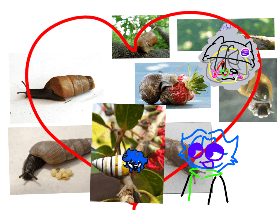 I ❤️ SNAILS 1 1 1