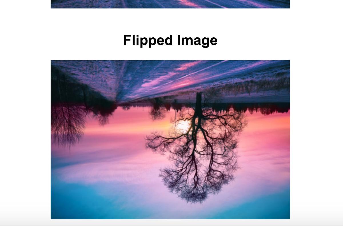 Image Flipper
