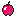 Infected_Apple