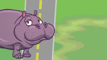 hippo 2