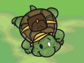 fetty turtle