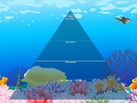 Ecological Pyramid 2