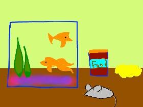 Pet Goldfish!!