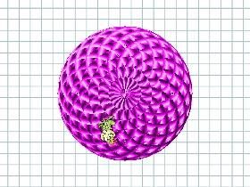 purple spin