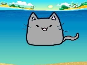 cat lerning how swim