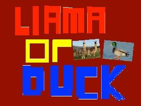 Llama or Duck? 2