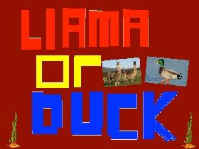 Llama or Duck? 2