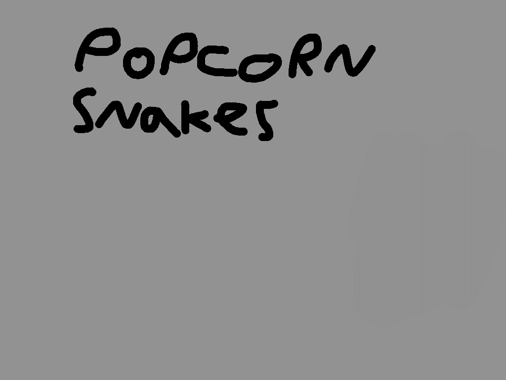 Popcorn snakes 3