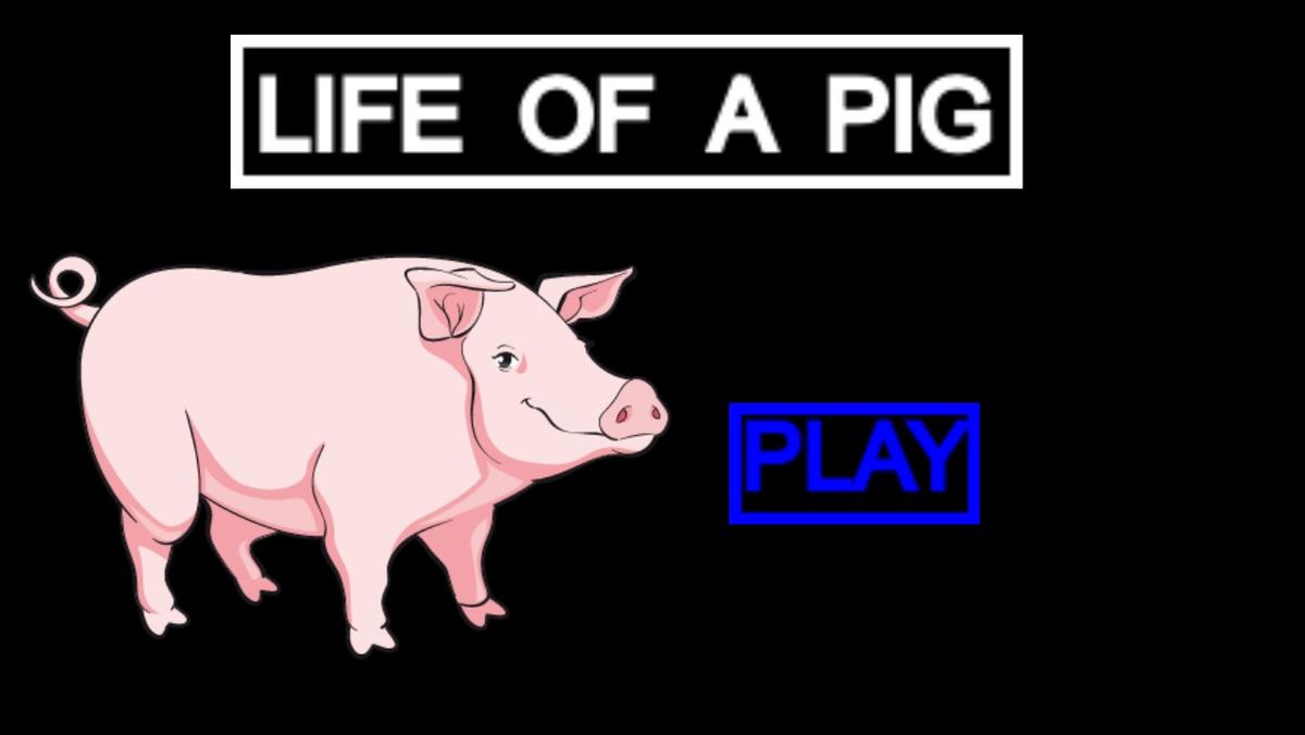 LIFE OF A PIG