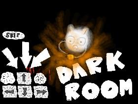 Dark Room of sherk