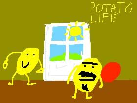 potato life