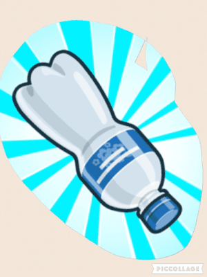 Water bottle flip