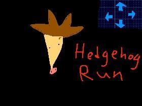 Hedgehog Run