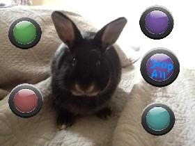 Olive the rabbit: music!©™
