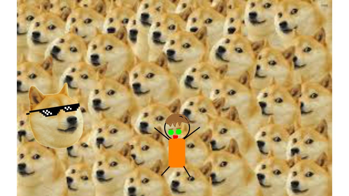 Flee from the doge